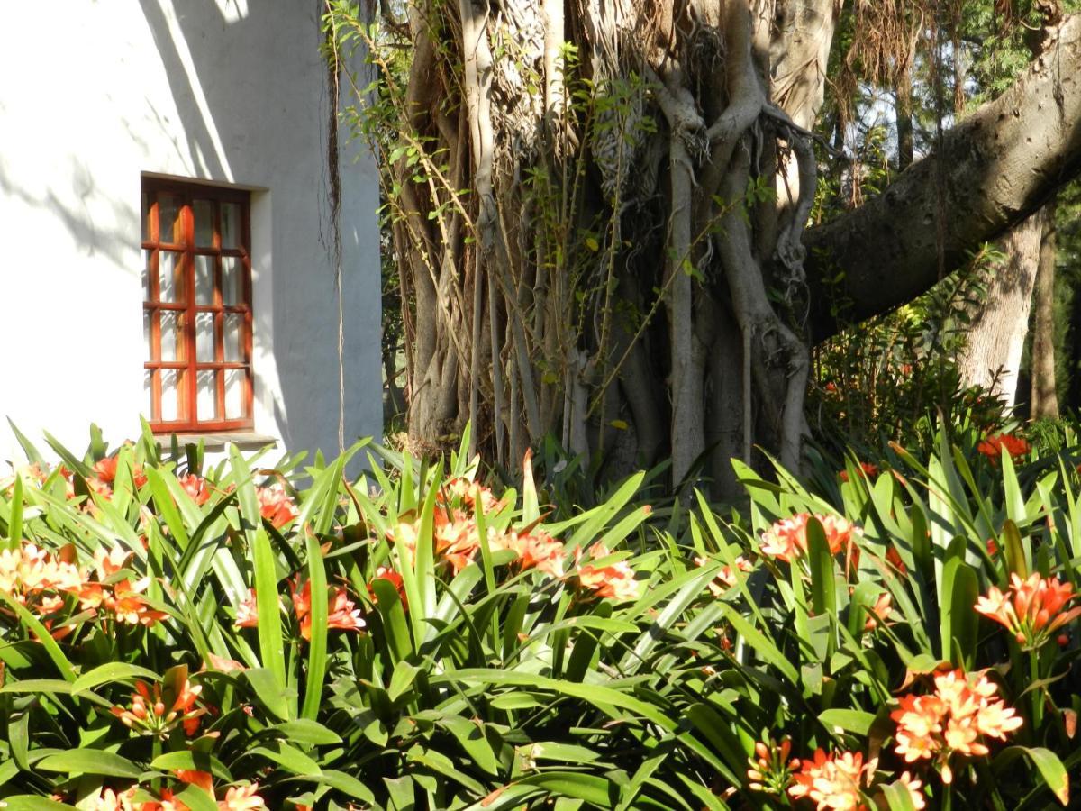 President Paul Kruger Guest Lodge 勒斯滕堡 外观 照片