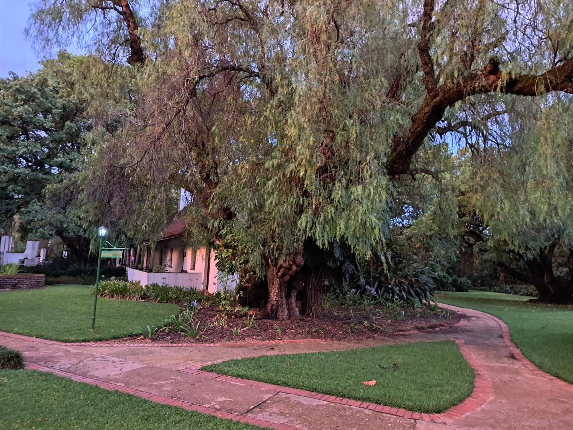 President Paul Kruger Guest Lodge 勒斯滕堡 外观 照片